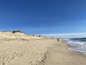 Vlak bij het strand, ligstoelen