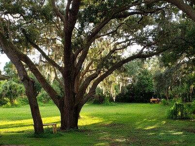 Large Venice  Studio,  8 Min To Manasota Beach  / King Bed On  Beautifu Acrage !