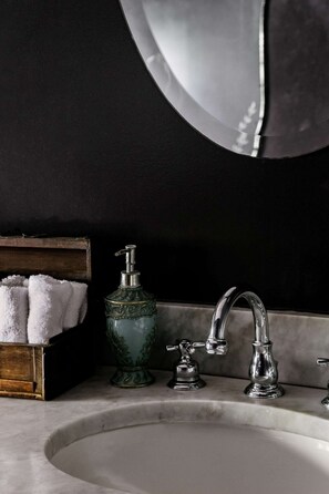 Bathtub, hair dryer, bidet, towels - Elegant Historic Estate: Professionally Designed (Austin)