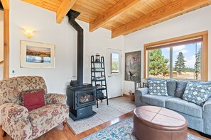 Älytelevisio, takka, DVD-soitin, kirjoja