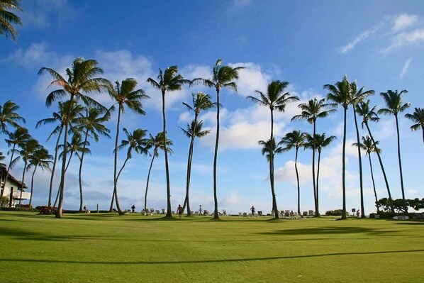 Golf