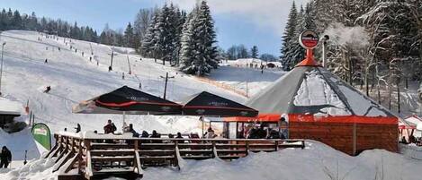 Terrain de lâhĂ©bergement