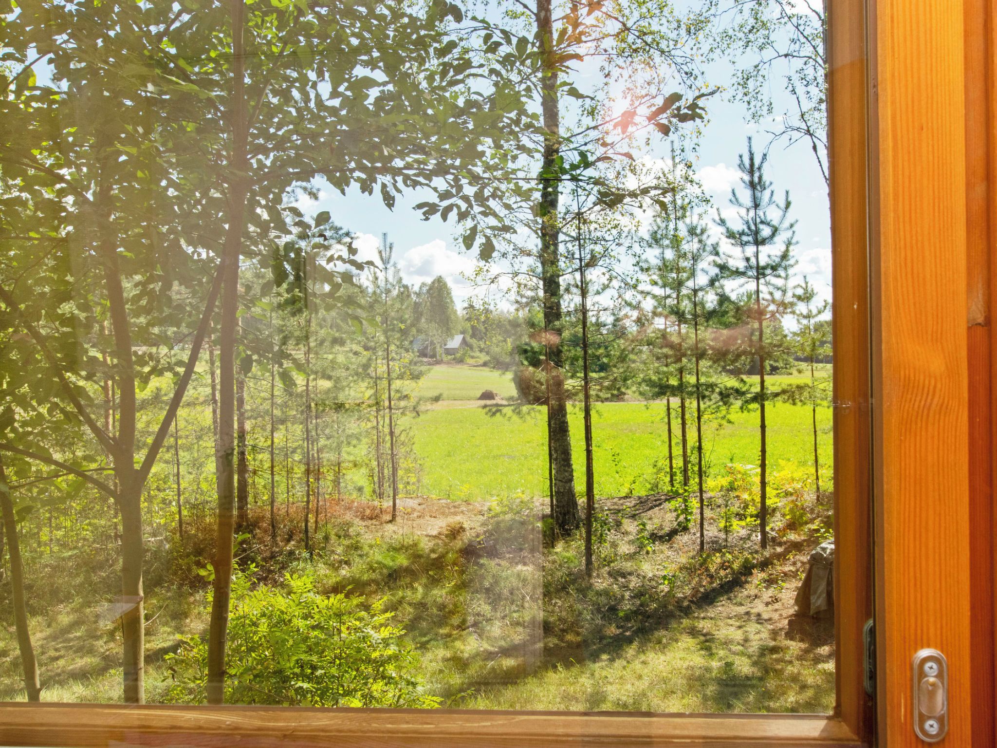 Ett fönster med utsikt över en skog och ett fält.
