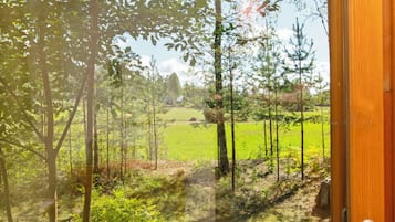 A window with a view of a forest and a field.