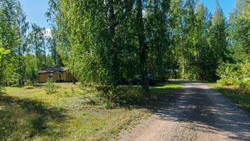 A gravel driveway leading to a house surrounded by trees.
