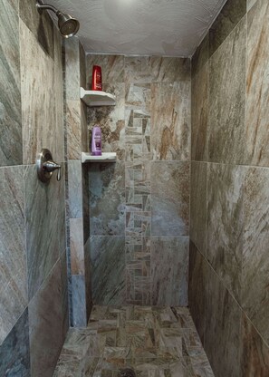 Regadera, secadora de cabello, toallas, papel de baño 
