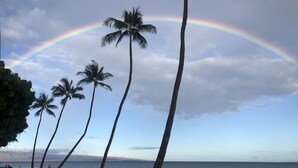 Ein Strand mit Palmen und einem Regenbogen.