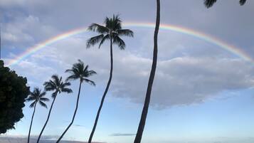 On the beach, sun-loungers, beach towels