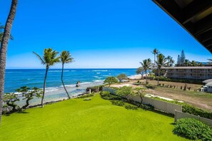 Property grounds - Kapaa Shores A303.  Beautiful Oceanfront Condo wit (Kapaʻa)