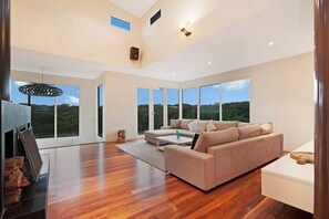 Smart TV, fireplace, books, music library