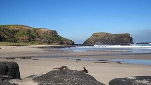Ubicación cercana a la playa y tumbonas