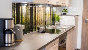 Une cuisine moderne équipée d’une plaque de cuisson en acier inoxydable, d’un évier et d’un lave-vaisselle.