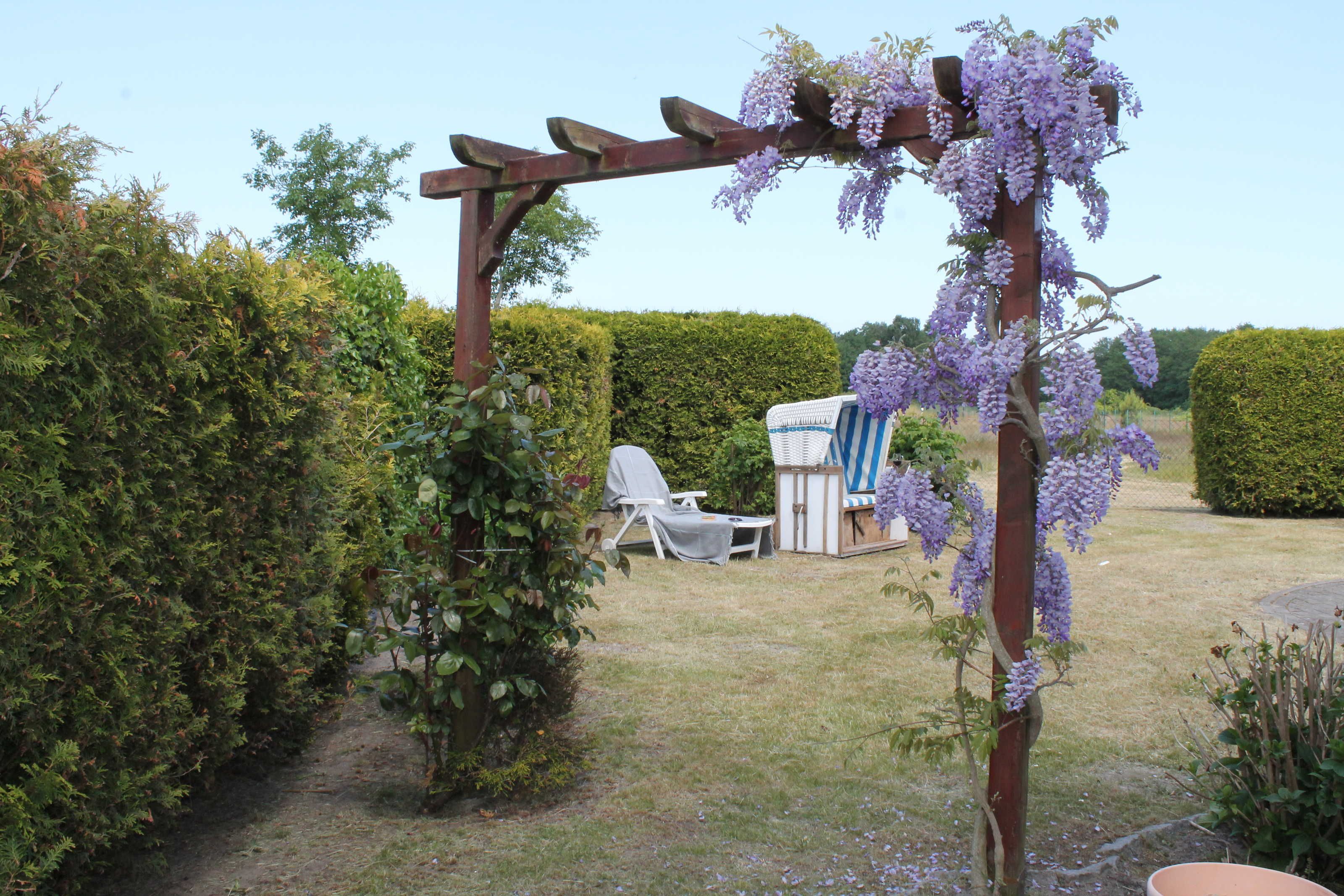 A garden with a wooden pergola, a white chair, and a shed.
