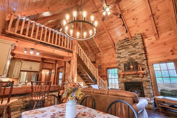 TV, lareira, DVD player