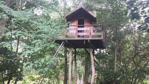 Una casetta sugli alberi in legno con un balcone, immersa in una fitta foresta.