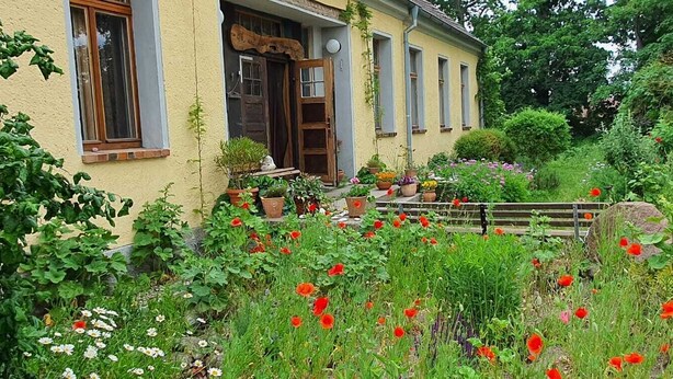 Una casa rustica con una porta di legno, piante in vaso e un giardino ricco di fiori.