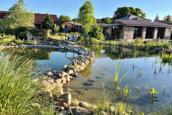 Parco della struttura