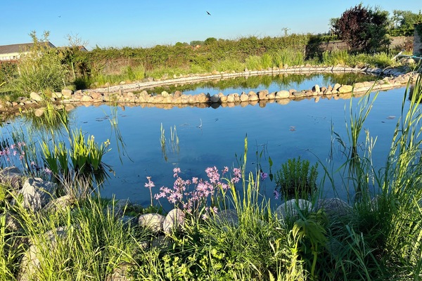 Área da propriedade