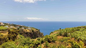 A coastal landscape with a view of the sea, a vineyard, and scattered buildings. - House - Sleeps 3, Free Parking, Garden & Jacuzzi (Calheta)