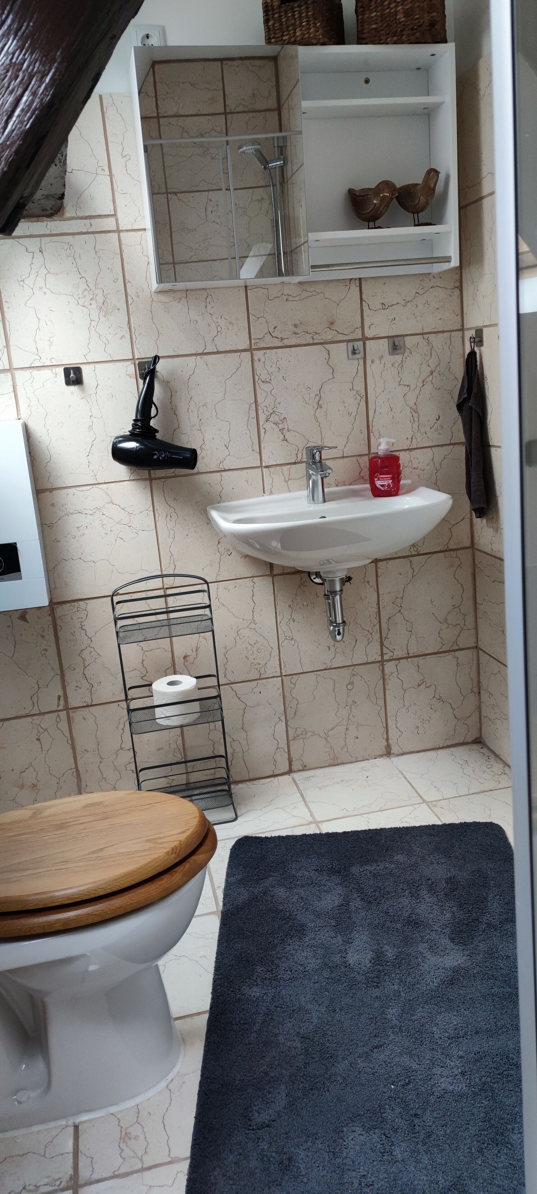 Hair dryer, towels, soap, toilet paper