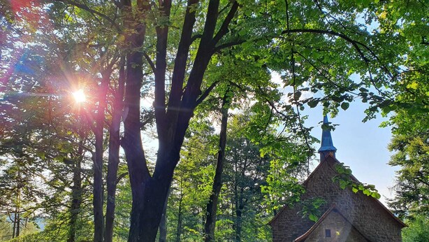 Ein Steinhaus mit spitzem Dach und blauem Kirchturm, umgeben von Bäumen und einem Picknicktisch.