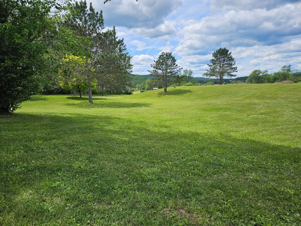 A grassy field with trees and a clear sky.