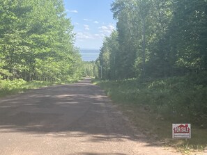 Une route de campagne bordée d’une végétation luxuriante et sur laquelle est affiché un panneau « À vendre ».