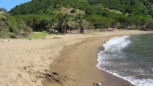 A sandy beach with gentle waves, a forested hillside, and a few scattered palm trees. - Villa COLORADO - GdF - ANSE FIGUIER (TERRE DE HAUT)