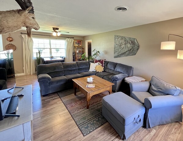 Smart TV, DVD player, books, video library