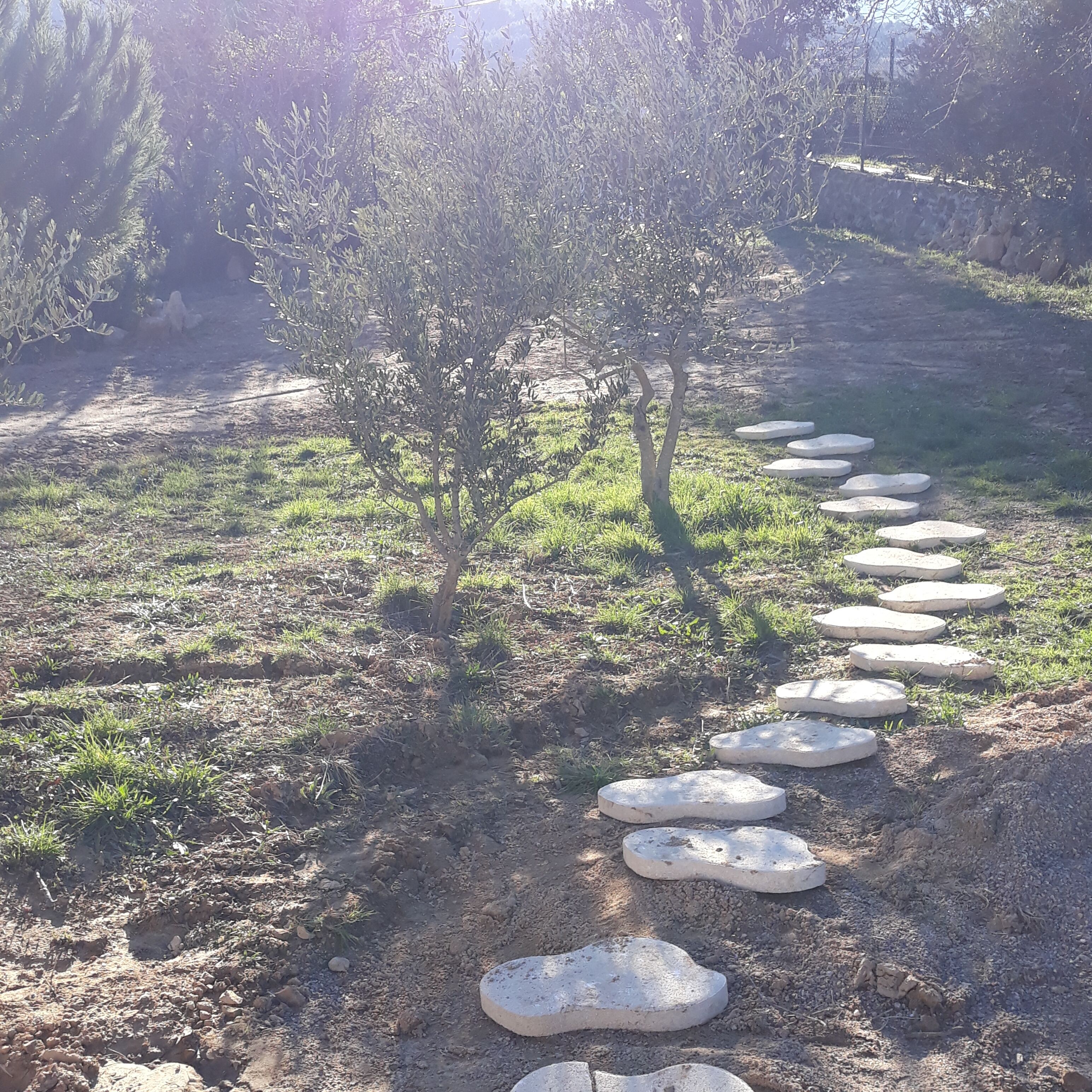 Àrea exterior de l'allotjament