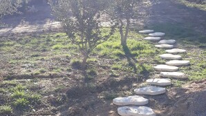 A stone pathway leading through a grassy area with trees.