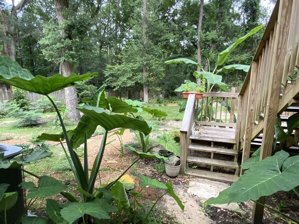 Terrein van de accommodatie