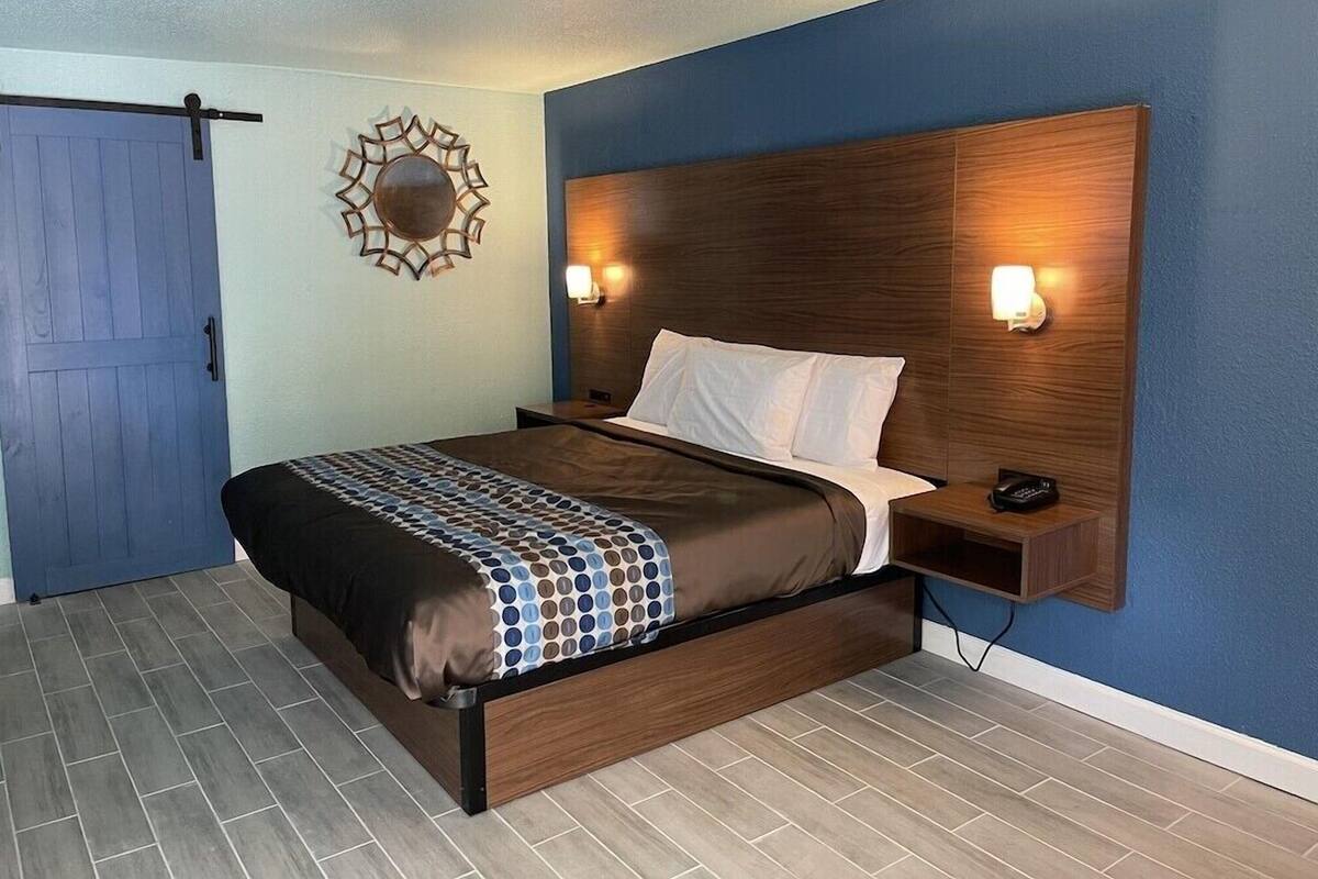 A bedroom with a bed, nightstands, a wall-mounted light, and a door.