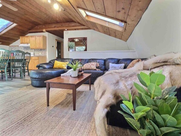 Smart TV, fireplace, video games, books