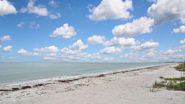 A beach with a clear sky and sea. - Beautiful Bonita Beach Front Condo, Casa de Mimi in Dolphin Way (Bonita Springs)
