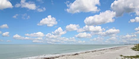 Accommodatie ligt op het strand, strandlakens