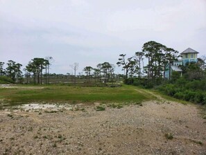 المنطقة المحيطة بالمنشأة