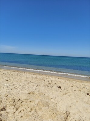Plage à proximité, chaises longues, serviettes de plage