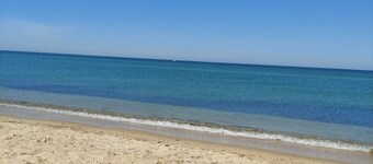 Beautiful Contemporary Home, Edgartown Morning Glory Farm