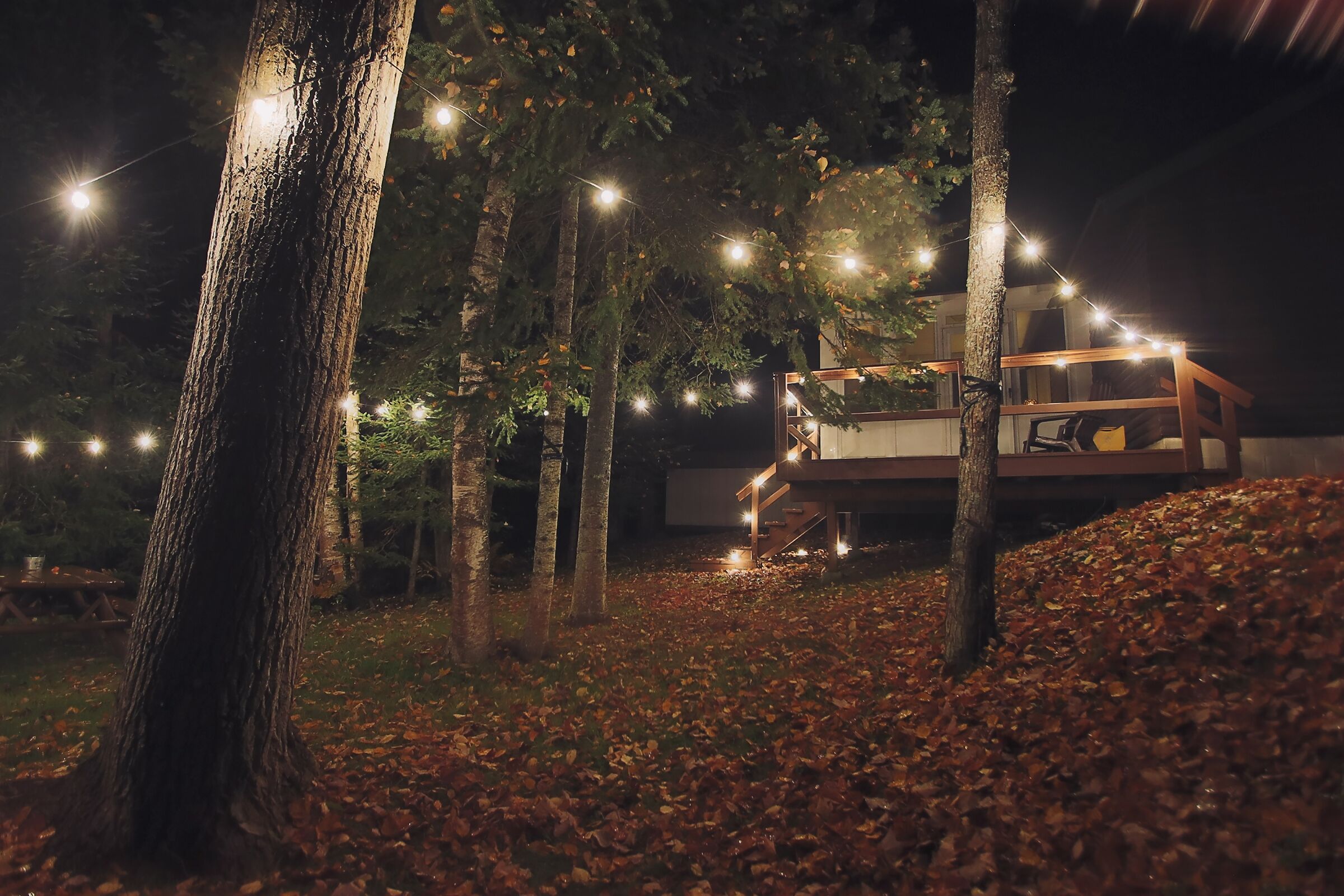 A modern outdoor seating area with string lights, surrounded by trees and covered with fallen leaves.