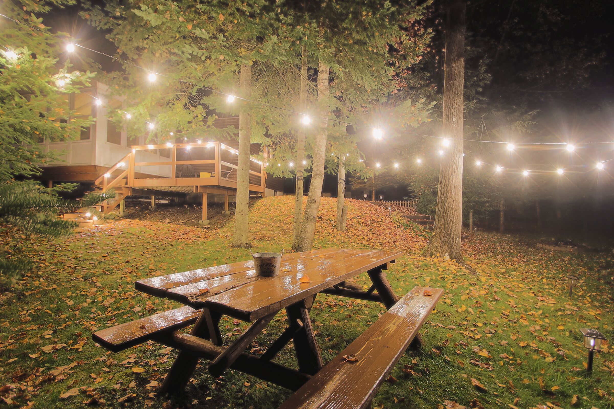 A picnic table in a park with string lights in the background.