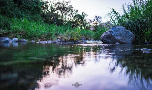 Une rivière paisible, bordée de rochers et de verdure.