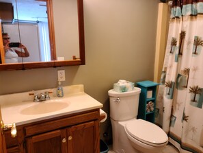 Combined shower/bathtub, towels, toilet paper