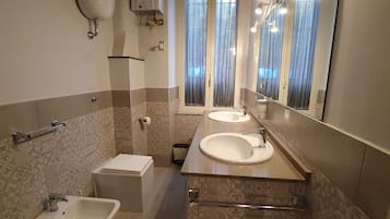 Shower, hair dryer, bidet, towels