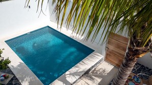 Une piscine rectangulaire à l’eau d’un bleu limpide, entourée d’un mur blanc et d’une terrasse en bois.