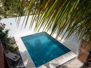 Pool - Beautiful, comfortable two bedroom home with pool (Puerto Morelos)
