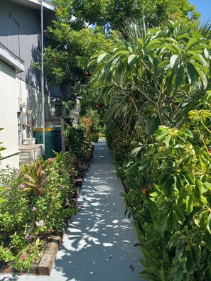 A narrow pathway flanked by lush greenery and a building on one side.