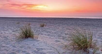 Pet Friendly Studio with Tons of 5 Star Reviews