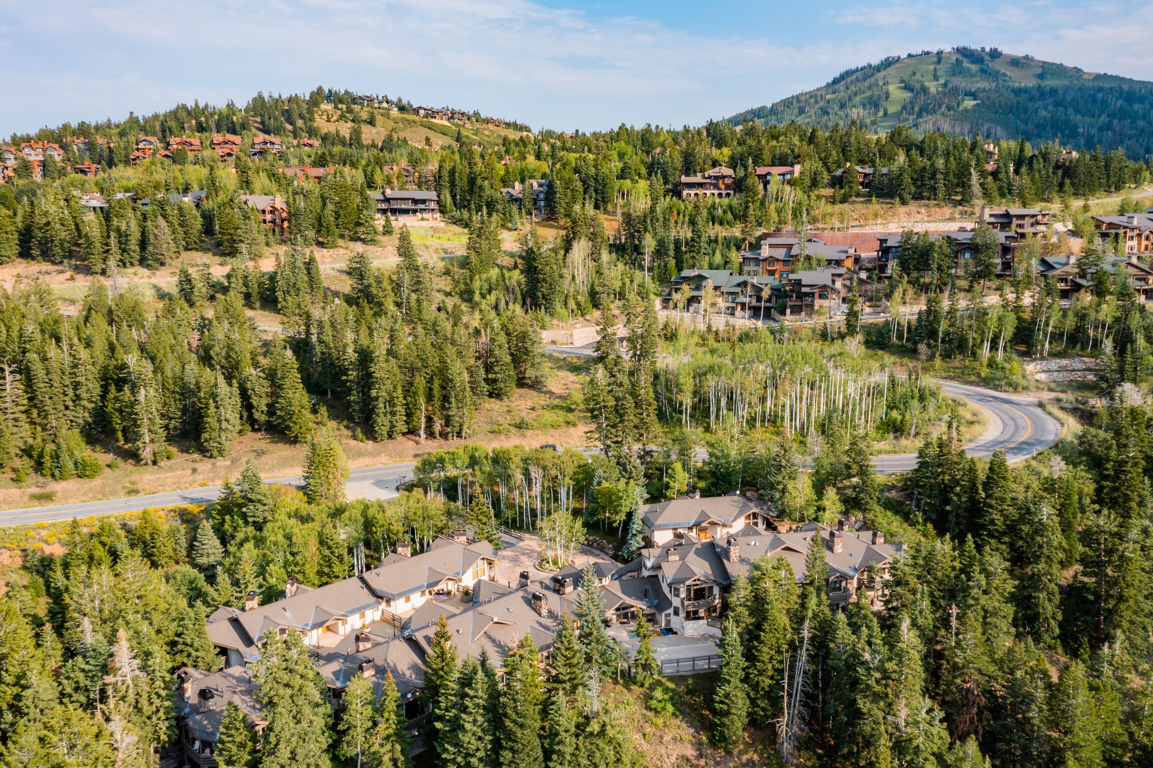 A residential area with houses surrounded by dense forests and a mountain in the background.