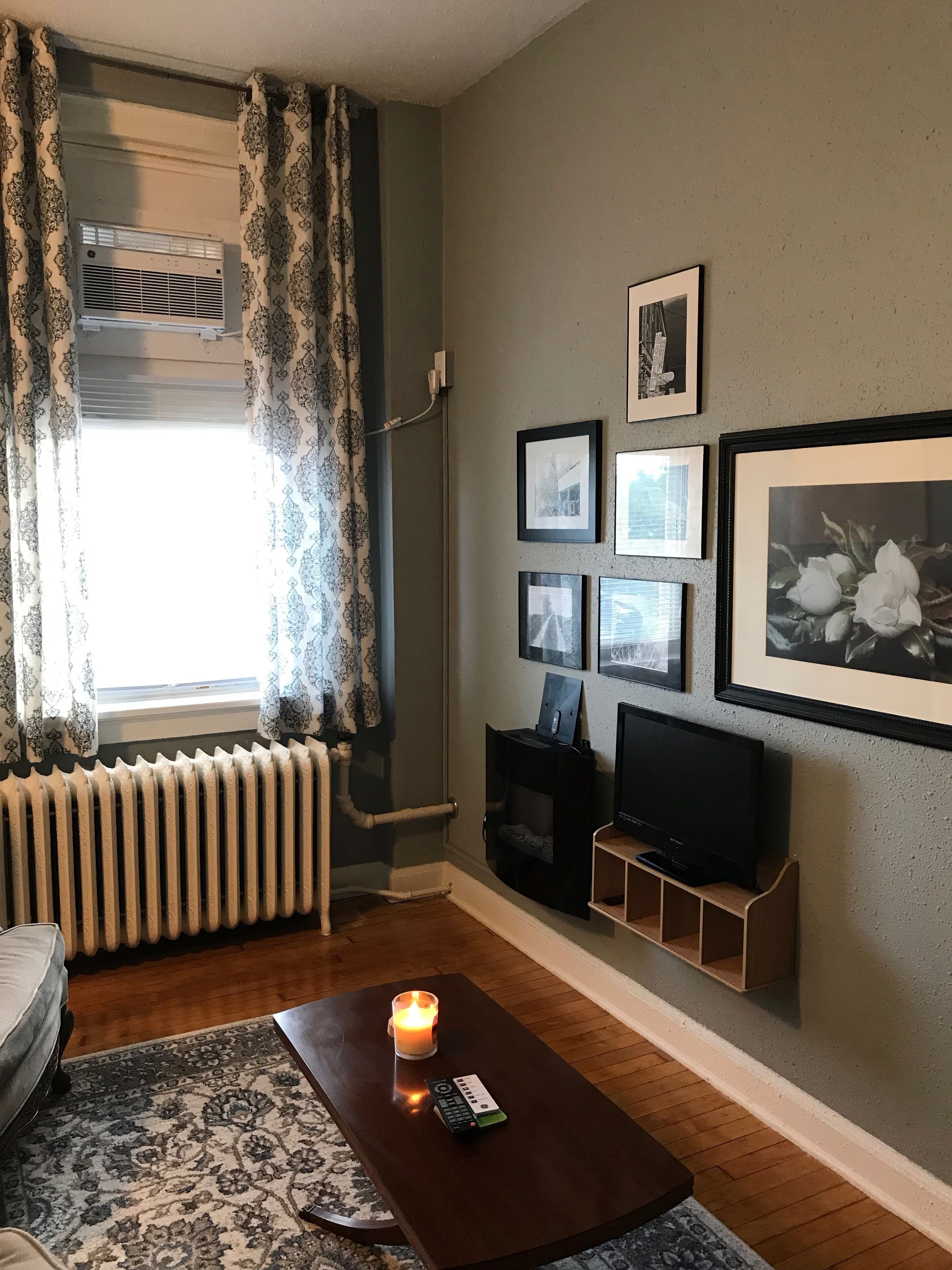 Smart TV, fireplace, books